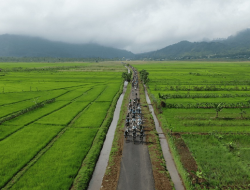Tragis, Mahasiswa UIN Kudus Tewas Tersengat Jebakan Tikus di Sawah
