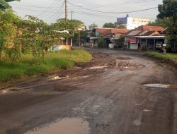 Dumptruk Keluar Masuk Merusak Jalan, Warga Weleri Tuntut Perbaikan