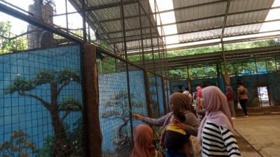 Libur Lebaran, Tingkat Kunjungan Semarang Zoo Capai 35 Ribu Wisatawan