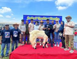 Peternak Lokal Unjuk Gigi di Festival Kambing Domba Kudus, Ini Harapan Mereka