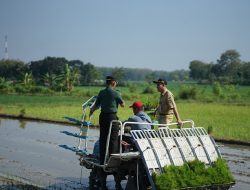 Dintanpan Rembang Maksimalkan Pertanian dengan Mesin Modern