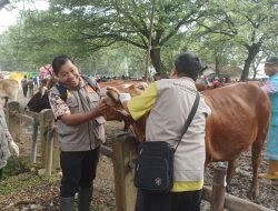 Jelang Iduladha, Dispertan Pati Lakukan Pemeriksaan di Pasar Hewan