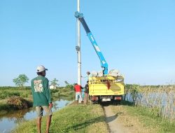 Bupati Sudewo Wujudkan Listrik Masuk Tambak, Produktivitas Petani Ikan Nila Naik