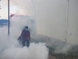 Warga Meninggal Diduga Akibat DBD, Dinkes Pemalang Langsung Fogging Darurat!