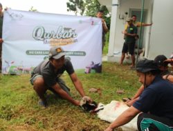 PCNU Kudus Kurban di Hari Terakhir Tasyriq