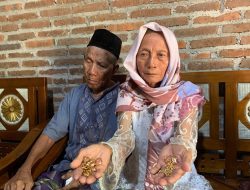 Pencurian Aneh di Jepara: Emas 50 Gram Milik Nenek Suharti Mendadak Berubah Jadi Mainan, Uang Rp 15 Juta Justru Utuh