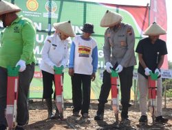 Dukung Ketahanan Pangan, Polres Kendal dan Pemkab Garap 227 Hektare Lahan Jagung