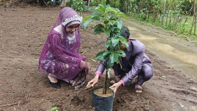 KUA Kutoarjo Resmikan Kebun Pengantin, Catin Wajib Tanam Pohon Sebelum Menikah