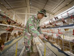 TMMD Kodim Kudus Tak Hanya Bangun Desa, Tapi Juga Dorong Kemandirian Ekonomi Warga