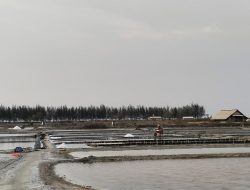 Regenerasi Petani Garam Rembang Terancam Mandek