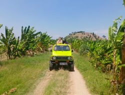 ‎‎Jeep Wisata Jadi Magnet Baru Pegunungan Kudus