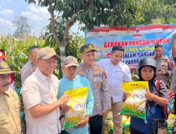 Panen Raya Jagung dan Beras Murah di Kudus, Jaga Stabilisasi Harga Pangan