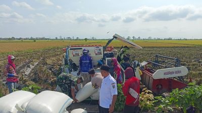 ‎‎Kopdes Undaan Lor Siap Fokus ke Sektor Pertanian