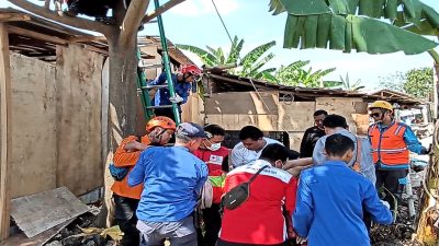 Dramatis, Proses Evakuasi Warga Karangtengah yang Tewas Tersangkut di Pohon Usai Kesetrum Listrik
