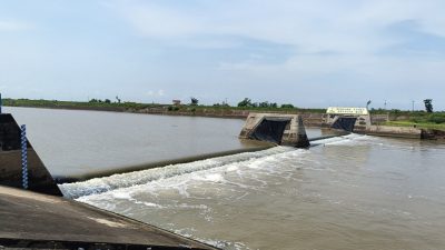 Karet Bendungan Bongpes Rusak, Ribuan Hektare Sawah Terancam Gagal Panen