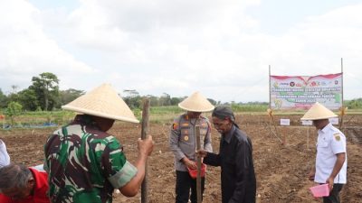 Dukung Swasembada Pangan 2025, Polres Purworejo Pimpin Gerakan Tanam Jagung Serentak