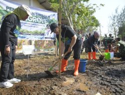 Lawan Abrasi dan Rob, 18.040 Mangrove dan Cemara Laut Ditanam di Pesisir Semarang