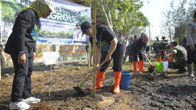 Lawan Abrasi dan Rob, 18.040 Mangrove dan Cemara Laut Ditanam di Pesisir Semarang