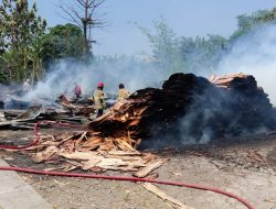 Bakar Limbah Triplek, Home Industri di Kendal Ludes Terbakar