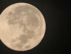 Jangan Lewatkan! Supermoon Terakhir 2025 Hiasi Langit Indonesia Mulai Malam Ini