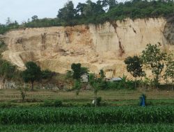 Habitat Elang Putih hingga Cendana Rusak, Warga Sukolilo Teriak Dampak Tambang Kendeng