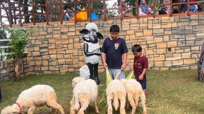 Pijar Park Kudus Buka Wahana Taman Domba Merino, Destinasi Baru Libur Sekolah