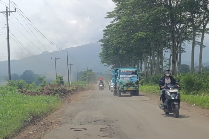 Kondisi aspal mengelupas dan berlubang di ruas Jalan Gunungwungkal-Bondol, Kabupaten Pati.
