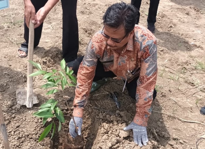 ‎‎Kepala SMP 4 Demak, Eko Widodo saat melakukan penanaman pohon di lahan kosong sekolah