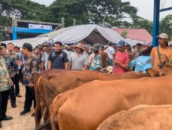 Pemkab Rembang Resmikan Pasar Hewan Pamotan, Luasnya Capai 2 Hektare