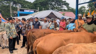Suasana peresmian Pasar Hewan Pamotan baru di Kabupaten Rembang oleh Bupati Harno.