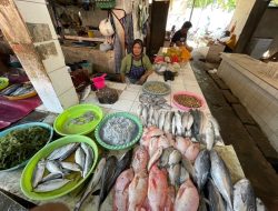 Cuaca Buruk Hambat Pasokan, Harga Ikan Laut di Pasar Puri Pati Mulai Merangkak Naik