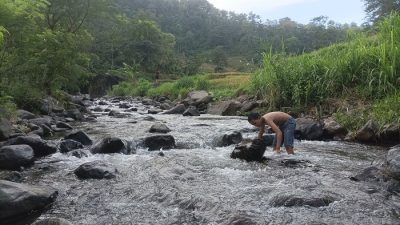 Sepuluh Desa di Pati Masuk Proyeksi Taman Hutan Raya, Mana Saja?