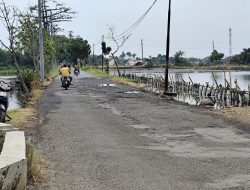 Rob Kian Meluas, Petani Pesisir Kendal Terpaksa Ubah Sawah Jadi Tambak