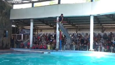 Wisatawan sedang menyaksikan pertunjukan lumba-lumba di Pantai Cahaya Kendal.
