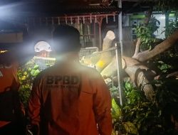 Waspada Cuaca Ekstrem! 6 Kecamatan di Kendal Rawan Longsor, Akses Jalan Putus