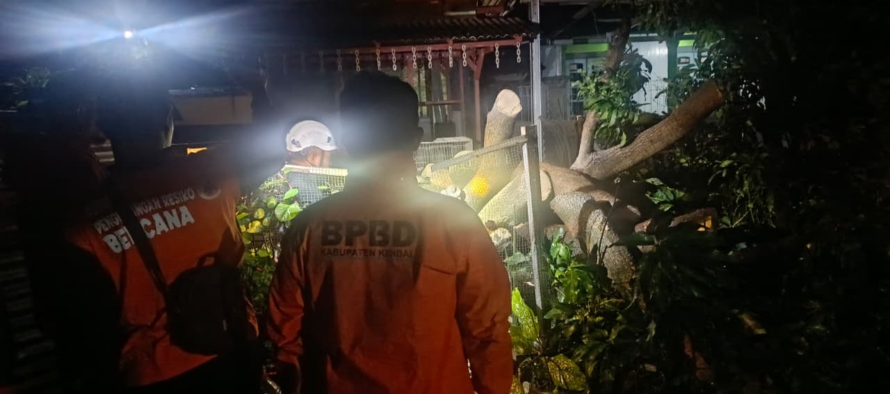 Petugas BPBD Kendal saat melakukan penanganan darurat di lokasi tanah longsor.