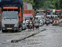 Atasi Tanggul Kritis di Kendal, Pemkab dan DPUPR Jateng Bagi Tugas