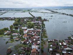Banjir Kudus Rendam Sawah 437 Hektare, Distanak Jateng Siapkan Klaim Asuransi