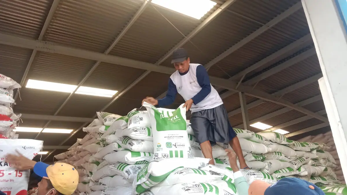 Buruh sedang memikul pupuk subsidi