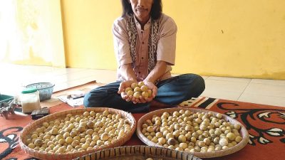 Manisnya Duku Sumber Hadipolo, Buah Langka Incaran Pejabat Kudus yang Anti Tengkulak