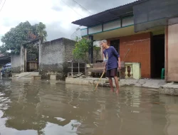 Hujan di Hulu Bikin Banjir Pati Meninggi, Ribuan Hektare Sawah dan Tambak Tenggelam