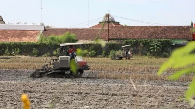 Petani Kudus Lega! Ratusan Hektare Sawah Puso Akibat Banjir Mulai Proses Klaim Asuransi