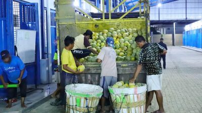 Pedagang sayur dan buah mulai mengisi lapak dagangan mereka di pasar Saerah, Kamis (8/1) malam