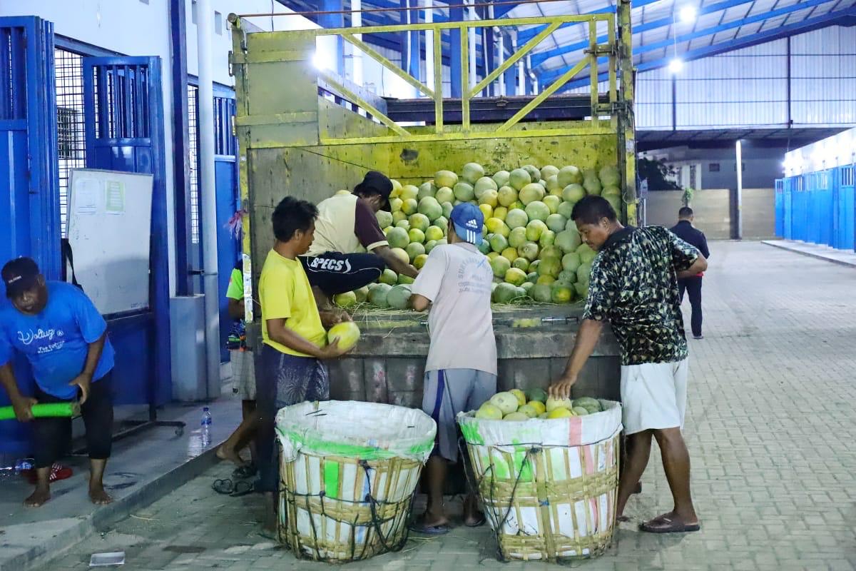 Pedagang sayur dan buah mulai mengisi lapak dagangan mereka di pasar Saerah, Kamis (8/1) malam