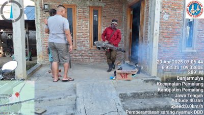 Waspada! Kasus Demam Berdarah di Pemalang Melonjak Drastis, 3 Kecamatan Ini Paling Rawan