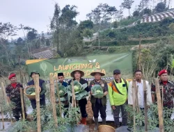 Jawab Krisis Petani di Kendal, Pemuda Muhammadiyah Turun ke Sawah Garap Tumpang Sari