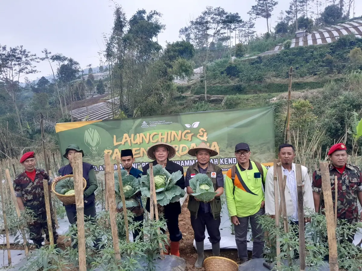 Kader Pemuda Muhammadiyah Kendal memegang hasil panen kol di lahan pertanian Desa Bringinsari Sukorejo.