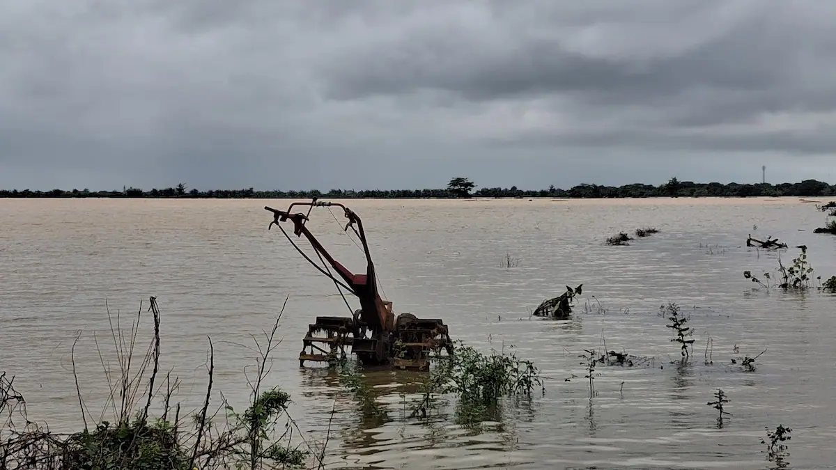 amparan sawah milik warga di Batukali, Pecangaan, Jepara yang terendam banjir menyebabkan gagal panen.