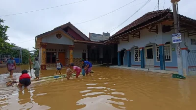 Awas Kencing Tikus! 3 Nyawa Melayang di Jepara, Pemkab Terbitkan SE Darurat