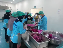 Cegah Keracunan, SPPG Makan Bergizi Gratis Kendal Dilarang Sajikan Soto dan Tongkol